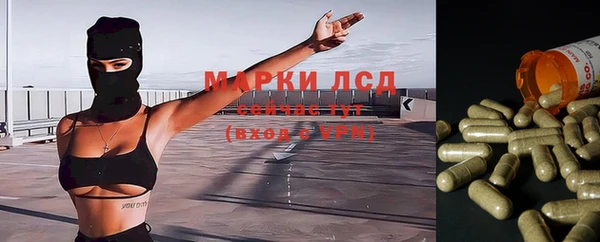 герыч Зерноград
