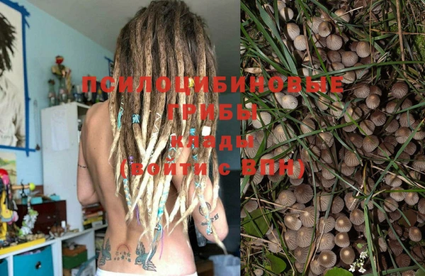 стафф Зеленодольск