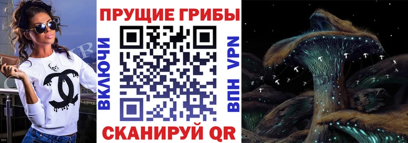 Псилоцибиновые грибы ЛСД Купить Вельск